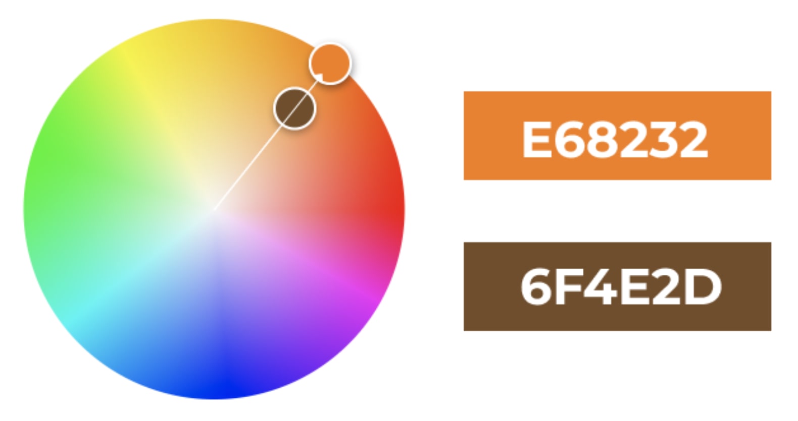 Monochromatic Colour Palette